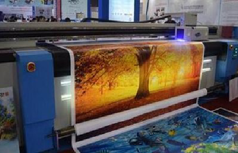 金湖写真有哪些介质？