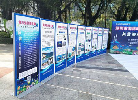 金湖KT板的种类和知识。